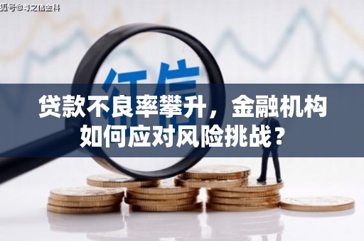 枋山贷款不良率攀升，金融机构如何应对风险挑战？