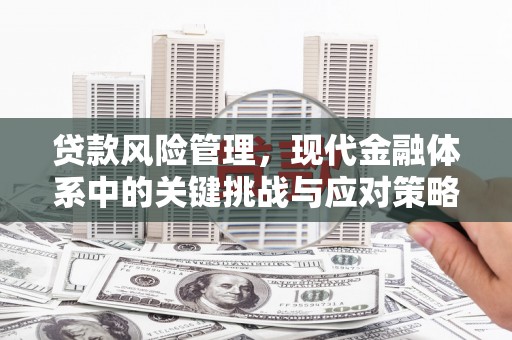 枋山贷款风险管理，现代金融体系中的关键挑战与应对策略