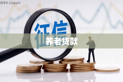 枋山养老贷款