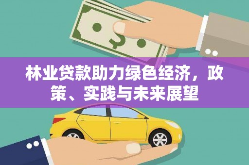 枋山林业贷款助力绿色经济，政策、实践与未来展望