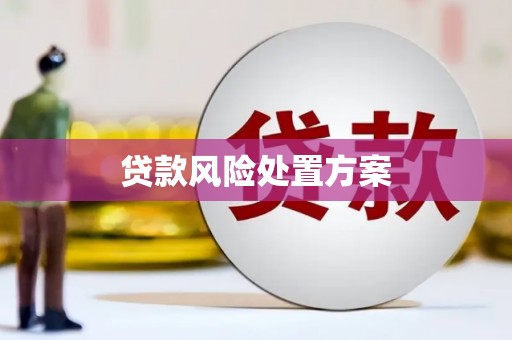 枋山贷款风险处置方案