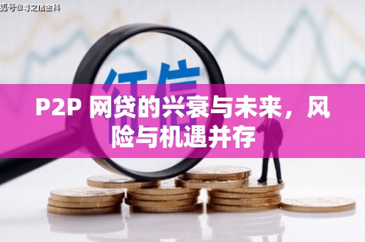 枋山P2P 网贷的兴衰与未来，风险与机遇并存