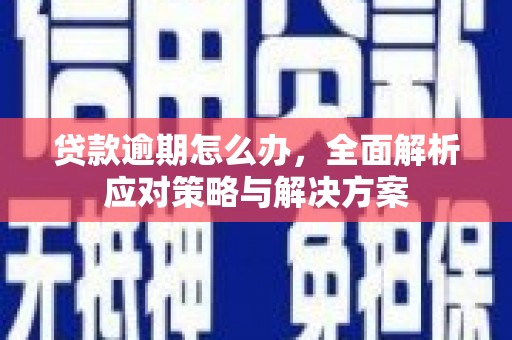 枋山贷款逾期怎么办，全面解析应对策略与解决方案