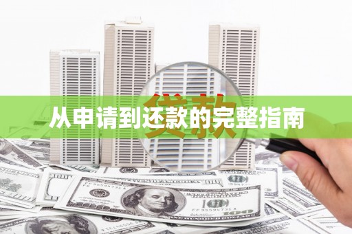 枋山从申请到还款的完整指南