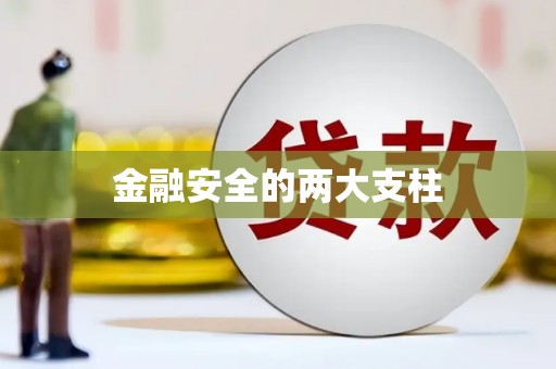 枋山金融安全的两大支柱