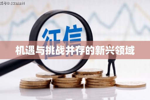 枋山机遇与挑战并存的新兴领域