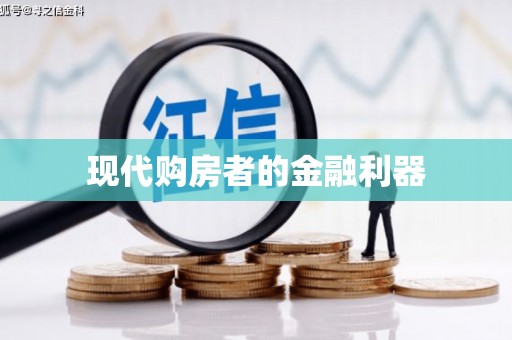 枋山现代购房者的金融利器
